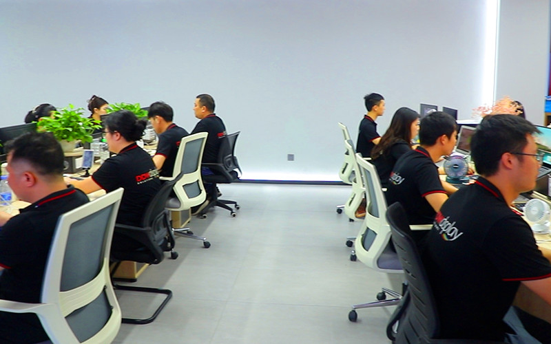 CINA Shenzhen DDW Technology Co., Ltd. Profil Perusahaan